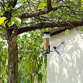 Bird Feeder Station 2 Feeder Hanging Seed Food Dispenser for Outdoor Garden Tree