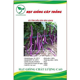 Hạt giống cà tím siêu dài Đài Loan CT272 - Gói 0.3gram