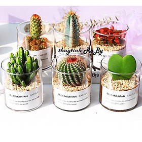 Mua Bình Bông Lọ Hoa Trang Trí Trụ Tròn Trơn 10X10  Lọ Đèn Cầy