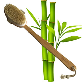 Bàn chải tắm - Bàn chải cọ lưng