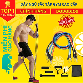 Bộ dây cao su đàn hồi kháng lực ngũ sắc 11 món tập gym tiện ích - Hãng dododios