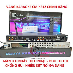 Mua VANG KARAOKE NGHE NHẠC GIA ĐÌNH X612 - HÀNG CHÍNH HÃNG - VANG BLUETOOTH