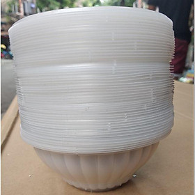Mua 50 bát nhựa ăn cơm dùng 1 lần