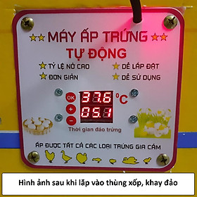 Mua Bộ máy ấp trứng Tự Động