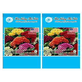 Bộ 2 Gói Hạt Giống Hoa Mào Gà Búa - Mix Nhiều Màu (Celosia) 100h