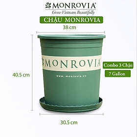 3 Chậu nhựa trồng cây MONROVIA 7 GL, chậu trồng cây, chậu cây cảnh mini, để bàn, treo ban công, treo tường, cao cấp, chính hãng thương hiệu MONROVIA
