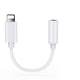 Headphone Adapter for Apple Interface to 3.5mm Converter Audio Adapter for iPhone 7/8/X/XS/XR