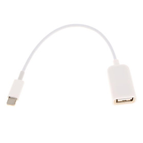 Cáp Adapter USB OTG Kết Nối Bộ Chuyển Đổi Dây Dây Cho iPad Dưới 10.3