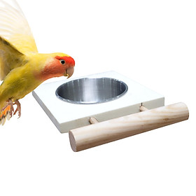 Bird Feeding Dish Cup Bird Food Stainless Steel Cups for Parrot Budgie