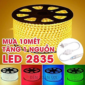  Combo 10 mét Đèn Led Dây 2835 led đôi ánh sáng trắng hoặc vàng