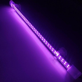 Mua Đèn LED Cá Rồng Xuân Meilong 80cm Màu Hồng. Phụ Kiện Hồ Cá Đèn LED Cá Rồng Xuân Meilong 80cm