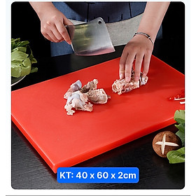 Mua Thớt Nhựa Công Nghiệp Nhiều Màu Sắc   KT: 60cm x 40cm x 2cm   60cm x 40cm x 3cm