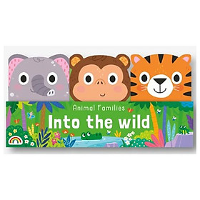 Into The Wild - Phương Nam Book