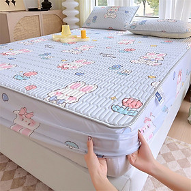 Mua Chiếu điều hòa cao su non  chiếu cao su non bo chun bọc đệm  tặng kèm 2 vỏ gối cùng mầu