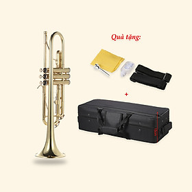 Kèn Trumpet Mới Đầy Đủ Phụ Kiện Giá Tốt