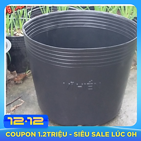 combo 100 Chậu nhựa trồng cây C9A 23x18x17 -77104