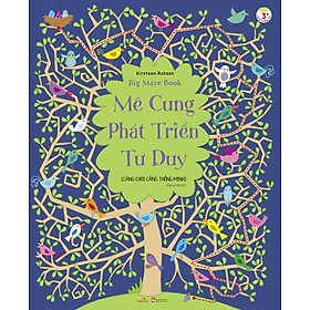 Sách Mê Cung Phát Triển Tư Duy (Big Maze Book)