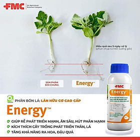 Mua Lân hữu cơ cao cấp Energy: Bổ sung Đạm  Lân – Cây sung  nhánh khỏe  rễ ăn sâu  hút phân mạnh