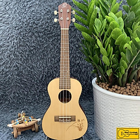 Mua ĐÀN UKULELE CONCERT HOA TRÒN