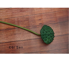 Mua Hoa sen giả - Bông sen quan âm - dài 75cm - Cây giả  hoa lụa trang trí nhà cửa