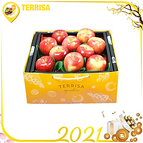 Hộp quà Tết TERRISA Signature Đoàn Viên 1 (Hộp 2.5 Kg - Táo Canada)