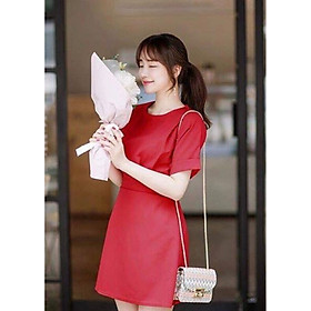 ĐẦM SUỒNG NGẮN TAY DƠI 2 MÀU  damsuong137
