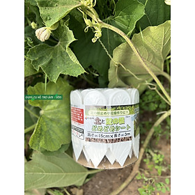 Mua HÀNG RÀO NHỰA CAO 15CM  DÀI 3 MET - TRẮNG