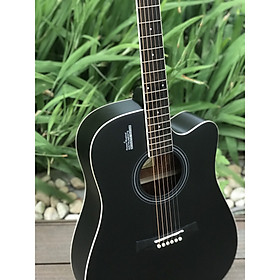 Mua Đàn Guitar Acoustic Rosen R135 màu Đen