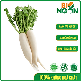 [Chỉ Giao HCM] - Củ Cải Trắng  (450-550g/gói)