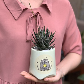 Sen Đá Móng Rồng - 8x8x20 Cm - Cây Mini Để Bàn & Chậu Gốm Sứ Bát Tràng Trồng Cây Cẩm Nhung Fittonia, Xương Rồng, Tiểu cảnh Terrarium - Dáng Nón Cụt – Mầu Vàng Chanh