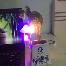 Mua Đèn Nấm Avata 5  đèn ngủ cắm tường  đèn ngủ cảm ứng ánh sáng  đèn ngủ giá rẻ  quà tặng đèn ngủ