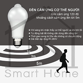 Mua Đèn cảm ứng tiếng động