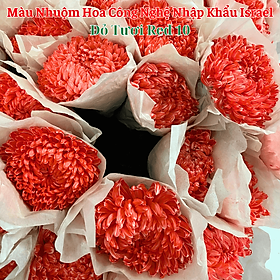 Nước Màu Nhuộm Hoa Tươi Cao Cấp Nhập Khẩu (Chai 1 Lít hoàn chỉnh nhuộm 250 cành) Color Premium For Fresh Flowers
