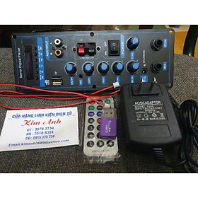 Mua Mạch loa kéo 150w HA8622