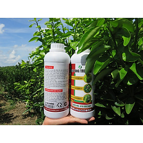 Mua SIÊU TĂNG TRƯỞNG - Kích thích quá trình vọt đọt  tạo ra nhiều đọt to  mập khoẻ  tập trung và đồng loạt
