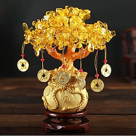 Mua Cây Tài Lộc Đá Thạch Anh Kèm Xu 18.5cm ( tím  xanh  vàng)