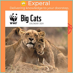 Sách - WWF Big Cats Square Wall Calendar 2024 by  (UK edition, paperback)