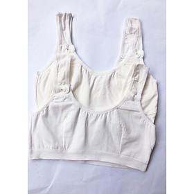 Combo 2 áo lá học sinh cotton đơn giản ALHS06 ( trắng )