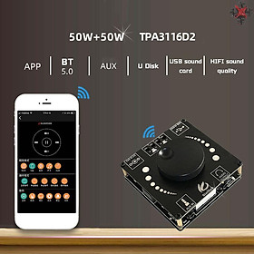 TPA3116D2 BT5.0 Digital Mini Audio Power Amplifier Portable Sound Amplifier Speaker Amp for Car and Home