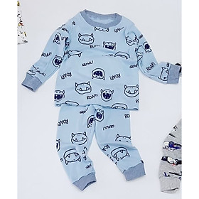 Bộ cotton thun dài tay cho bé trai (giao màu ngẫu nhiên)