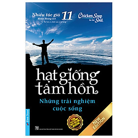 Hạt Giống Tâm Hồn 11 - Những Trải Nghiệm Cuộc Sống