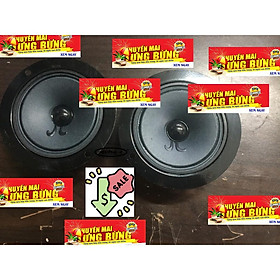 Mua Cặp treble giấy koloda dùng trong loa thùng loa karaoke bluetooth.