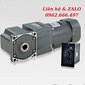 Mua Motor giảm tốc Wanshsin mini 40W