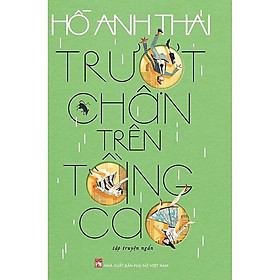 Trượt Chân Trên Tầng Cao - Tập Truyện Ngắn - Hồ Anh Thái - NXB Phụ Nữ - Thái An