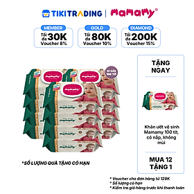 [Mua 12 Gói tặng 1 Gói] Combo 12 gói Khăn ướt Mamamy không mùi gói 100 tờ
