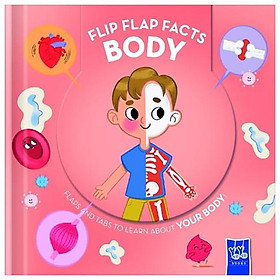 Sách ngoại văn: Flip Flap Facts - Your Body - Grantham Book Services