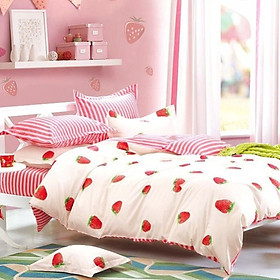 Bộ chăn ga gối 5 món cotton Hàn Julia 248BG16