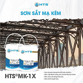 Mua Sơn sắt mạ kẽm HTS MK-1X thùng 3 Kg