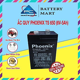 Ắc Quy PHOENIX TS 650 6V-5Ah - Chuyên Dùng Cho Nguồn Dự Phòng (UPS, Inverter, ...)