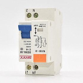220V Single Phase Double Wire Leakage Protector DZ30LE Residual Current Device